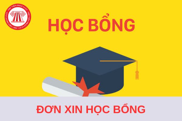 Tải Mẫu đơn xin học bổng thông dụng 2024 và hướng dẫn soạn thảo chi tiết?