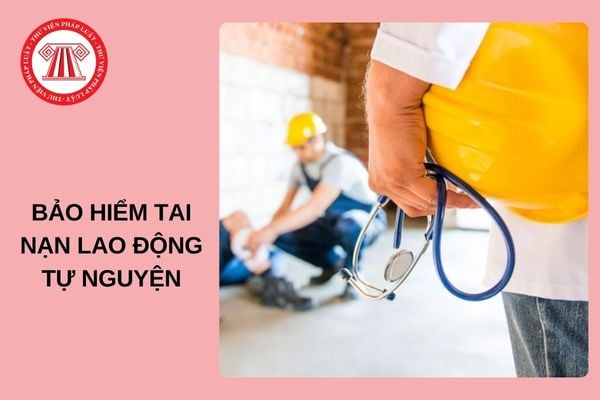 02 chế độ bảo hiểm tai nạn lao động tự nguyện từ ngày 01/01/2025?