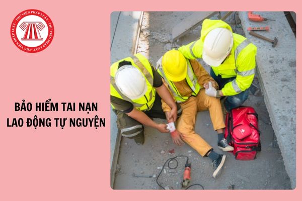 Từ 1/1/2025, tạm dừng đóng bảo hiểm tai nạn lao động tự nguyện khi nào?