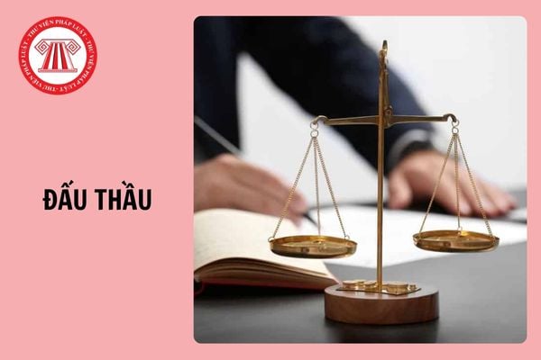 Tải toàn bộ Phụ lục Thông tư 22/2024/TT-BKHĐT mẫu hồ sơ đấu thầu áp dụng từ 1/1/2025?