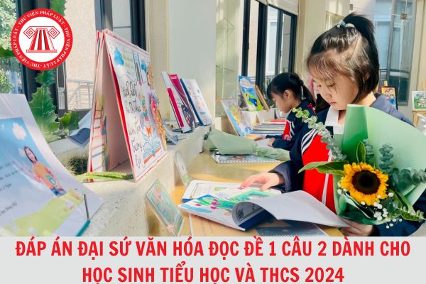 Đáp án Đại sứ văn hóa đọc đề 1 câu 2 dành cho học sinh tiểu học và THCS 2024? Cơ cấu tổ chức của trường THCS cụ thể ra sao?