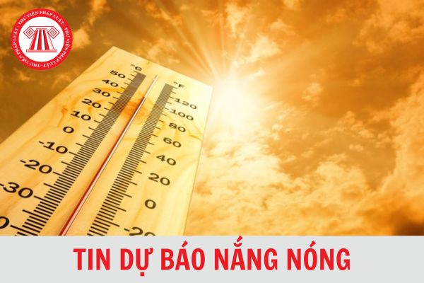 Tin dự báo nắng nóng mỗi ngày được ban hành mấy giờ? Nắng nóng kéo dài có gây cháy rừng không?