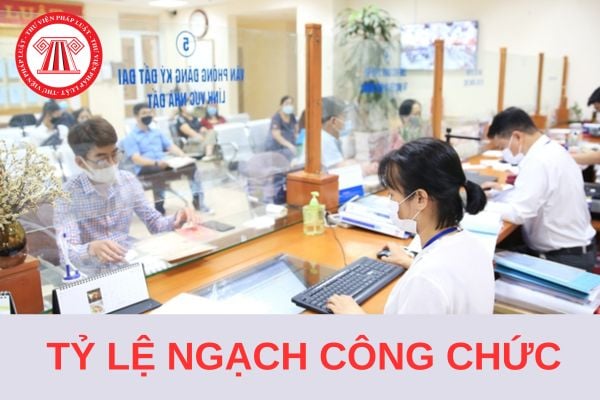 Quy định mới tỷ lệ ngạch công chức theo từng chuyên ngành cụ thể từ 15/8/2024?