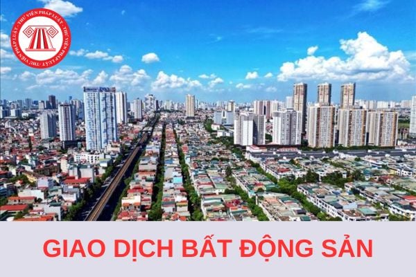 Mẫu Giấy phép hoạt động của sàn giao dịch bất động sản áp dụng từ 1/8/2024?