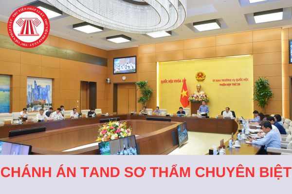 Từ 1/1/2025, nhiệm kỳ của Chánh án Tòa án nhân dân sơ thẩm chuyên biệt là mấy năm?