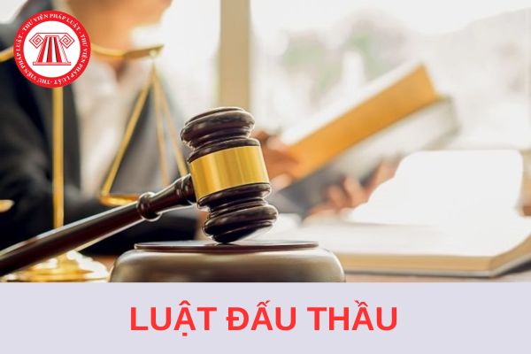 Luật Đấu thầu mới nhất 2024 và Nghị định, Thông tư hướng dẫn Luật Đấu thầu mới nhất?