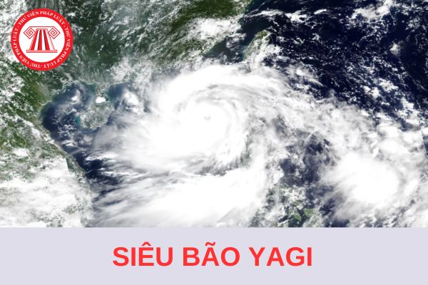 Siêu bão Yagi hiện tại đang ở đâu? Cách đất liền còn khoảng bao nhiêu km? 