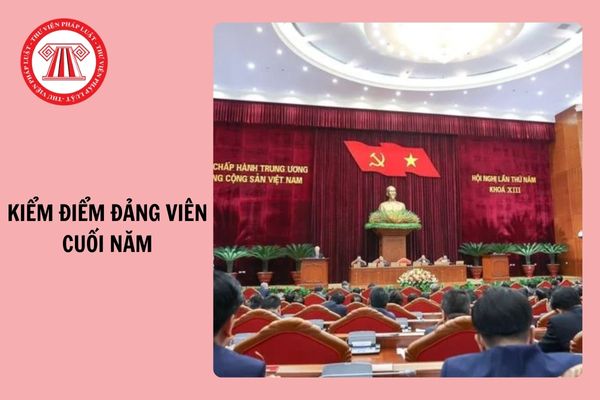 Cách viết Bản kiểm điểm Đảng viên cuối năm 2024 về trách nhiệm nêu gương?