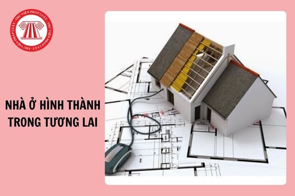 Từ 10/12/2024, ngân hàng nước ngoài được cấp bảo lãnh nhà ở hình thành trong tương lai?