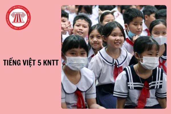 Đề thi học kì 1 Tiếng Việt 5 Kết nối tri thức năm 2024 - 2025 có đáp án kèm file tải về?