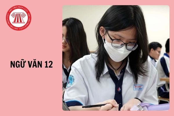 Đề thi cuối kì 1 Ngữ văn 12 Kết nối tri thức kèm đáp án cập nhật năm 2024 -2025?