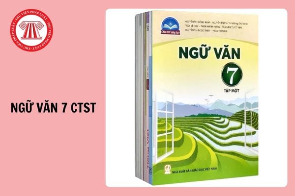 Đề thi học kì 1 Ngữ văn 7 Chân trời sáng tạo năm 2024 - 2025 có đáp án?