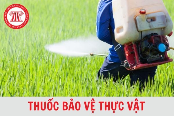 Năm 2024, cơ quan nào có thẩm quyền loại thuốc bảo vệ thực vật ra khỏi danh mục?