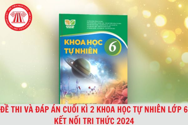 Đề thi và đáp án cuối kì 2 môn Khoa học tự nhiên lớp 6 Kết nối tri thức 2024 tải về nhiều nhất?