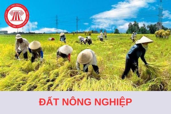 05 yếu tố ảnh hưởng đến giá đất nông nghiệp từ ngày 1/8/2024?