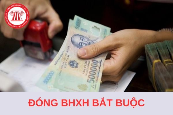 Từ 01/7/2025, thời hạn đóng bảo hiểm xã hội bắt buộc chậm nhất đối với NSDLĐ là khi nào?