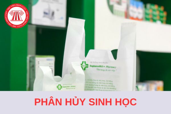 Không sản xuất và nhập khẩu túi ni lông khó phân hủy sinh học từ 01/01/2026?