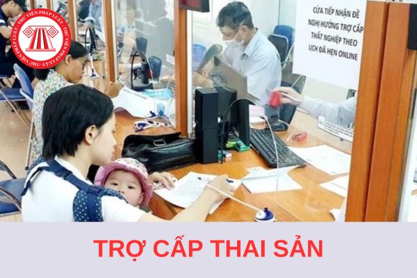 Mức trợ cấp thai sản của bảo hiểm xã hội tự nguyện từ 01/7/2025 là bao nhiêu?