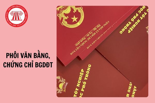 Tải Mẫu phiếu cấp phôi văn bằng, chứng chỉ của BGDĐT mới nhất 2024?