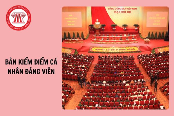 Cách viết Mẫu 2A, 2B: Phương hướng, biện pháp khắc phục hạn chế khuyết điểm trong bản kiểm điểm đảng viên cuối năm 2024?