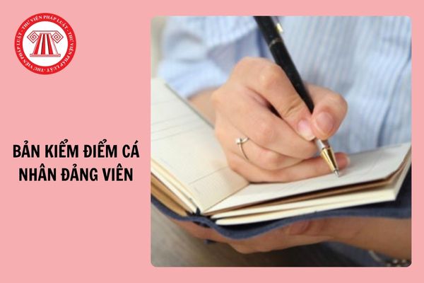 Mẫu 2B Bản kiểm điểm cá nhân đảng viên cuối năm 2024 dành cho đối tượng nào?