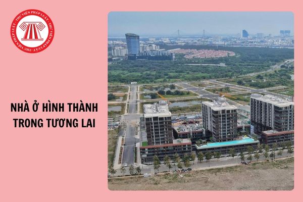 Chủ đầu tư được ủy quyền ký hợp đồng đặt cọc mua nhà ở hình thành trong tương lai không?