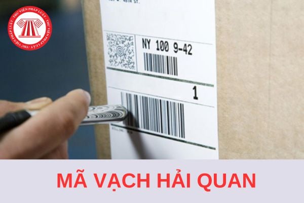 Hướng dẫn cách in bảng kê mã vạch hải quan chi tiết, mới nhất 2024?