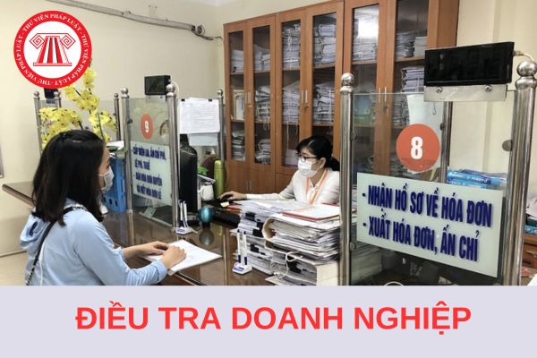 Những ngành nào được loại trừ khỏi phạm vi điều tra doanh nghiệp từ năm 2025?