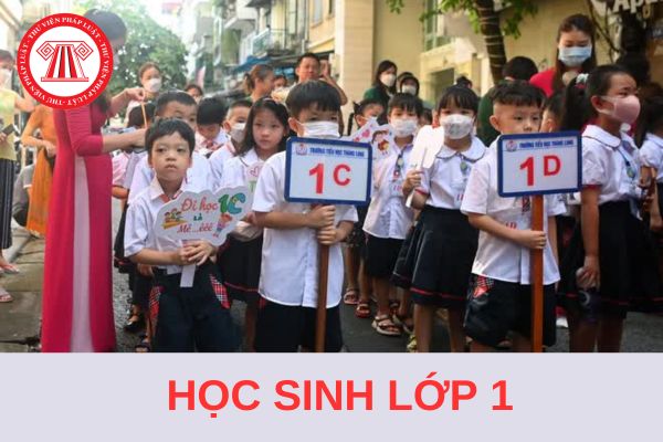 Học sinh lớp 1 TP HCM bắt đầu đi học lại vào ngày nào trong năm học 2024-2025?