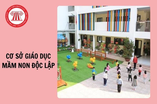 Từ 20/11/2024, cơ sở giáo dục mầm non độc lập bị định chỉ hoạt động trong trường hợp nào?