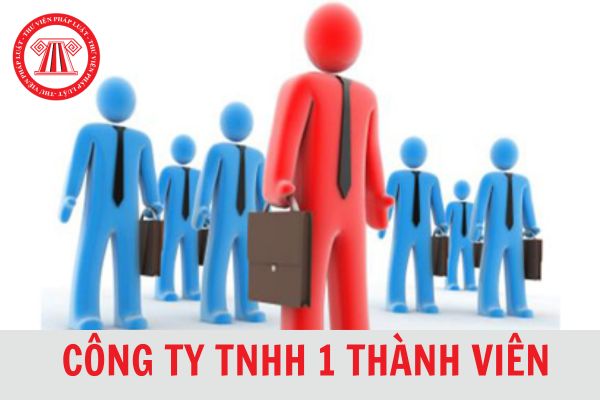 Ai có thể thành lập công ty TNHH 1 thành viên? Khi thành lập thì cần những gì?