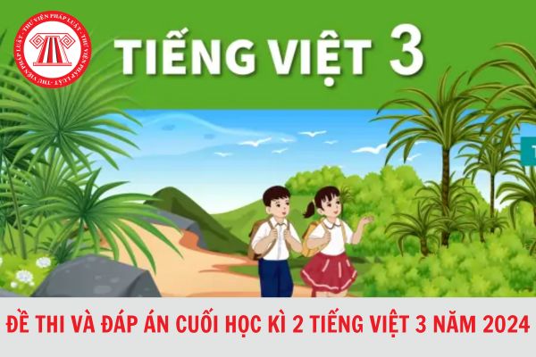 Đề thi và đáp án cuối học kì 2 Tiếng Việt 3 năm học 2023-2024 cập nhật mới nhất?