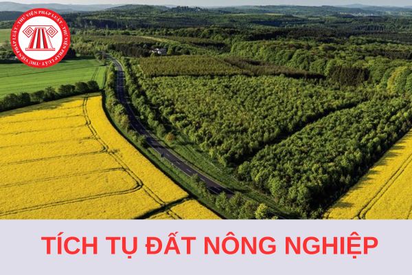 Từ ngày 1/8/2024, có mấy phương thức thực hiện tích tụ đất nông nghiệp?