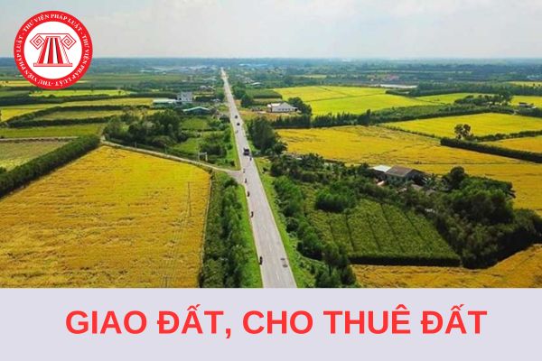 Tải Mẫu tờ trình về giao đất, cho thuê đất 2024 và hướng dẫn cách ghi?