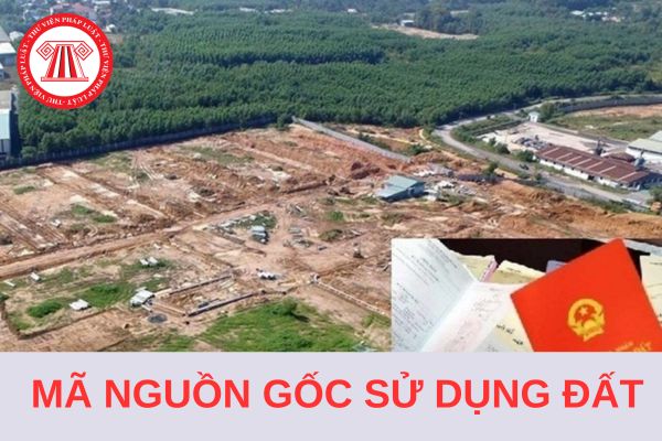 Danh mục Mã nguồn gốc sử dụng đất và hướng dẫn cách ghi mã 2024?