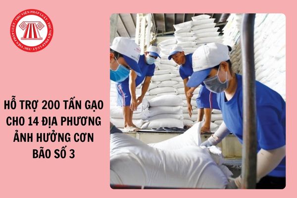 Hỗ trợ 200 tấn gạo cho 14 địa phương bị ảnh hưởng cơn bão số 3 (bão Yagi)?