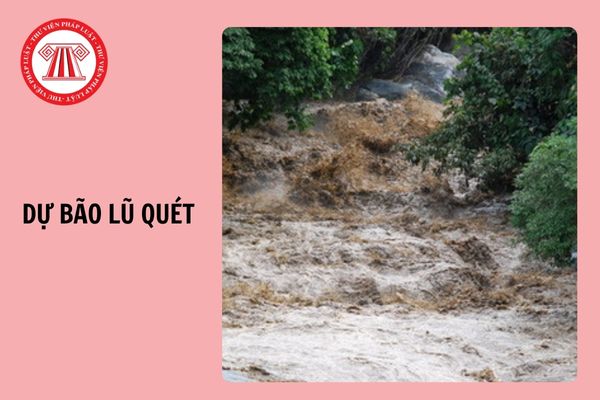 Theo dõi dự báo lũ quét ở đâu? Việc phòng chống lũ quyét phải đảm bảo nguyên tắc gì?