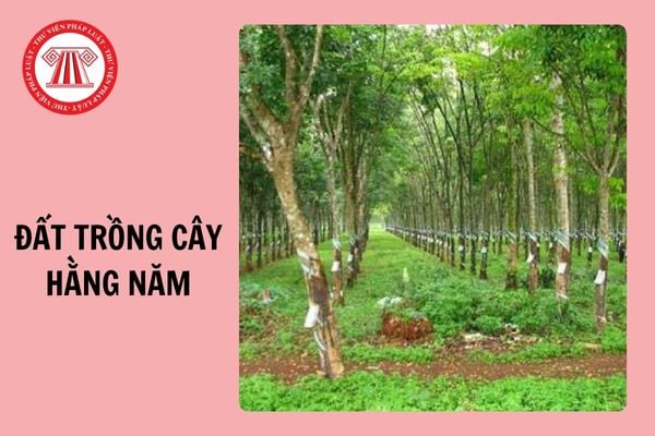 Không sử dụng đất trồng cây hằng năm trong 12 tháng liên tục có bị phạt không? Phạt bao nhiêu tiền?