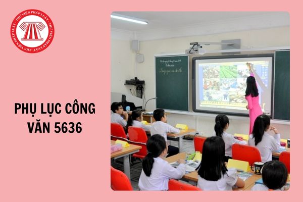 Tải Phụ lục Công văn 5636 của Bộ giáo dục và Đào tạo file word mới nhất 2024?