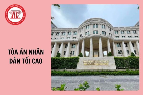 Từ 1/1/2025, Tòa án nhân dân tối cao có 11 cục, vụ, thanh tra và 2 cơ quan báo chí?