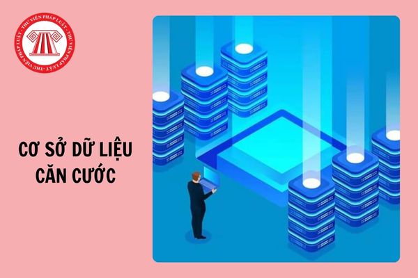 Khai thác thông tin trong Cơ sở dữ liệu căn cước của người bị tuyên bố mất tích do ai đó quyết định?