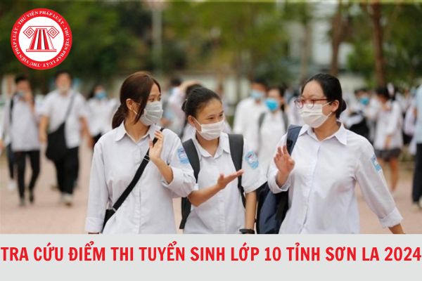 Link Tra cứu điểm thi vào lớp 10 tỉnh Sơn La năm 2024-2025 chi tiết, nhanh nhất?
