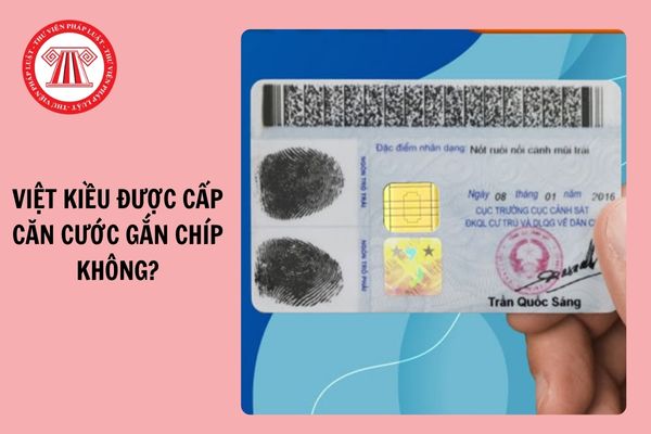 Việt kiều có được cấp căn cước gắn chip không? Việt kiều làm thủ tục cấp căn cước gắn chip online như thế nào?