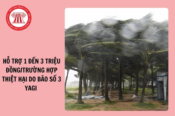 Hỗ trợ 1 đến 3 triệu đồng/trường hợp thiệt hại do bão số 3 (bão Yagi)?