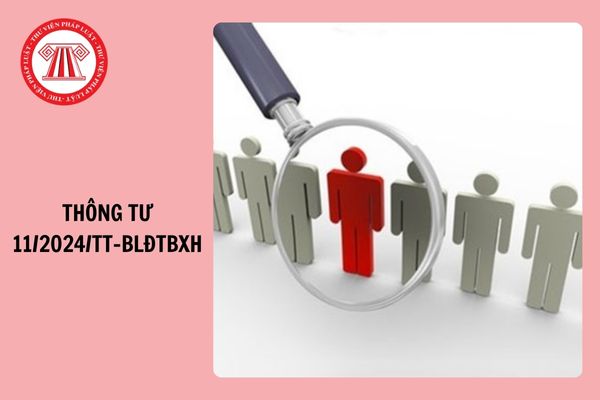 Đã có Thông tư 11/2024/TT-BLĐTBXH hướng dẫn xếp hạng một số loại hình đơn vị sự nghiệp công lập thuộc ngành, lĩnh vực lao động, người có công và xã hội?