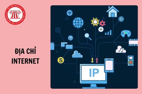 Download Mẫu quyết định cấp địa chỉ Internet (Mẫu số 08) mới nhất 2024?