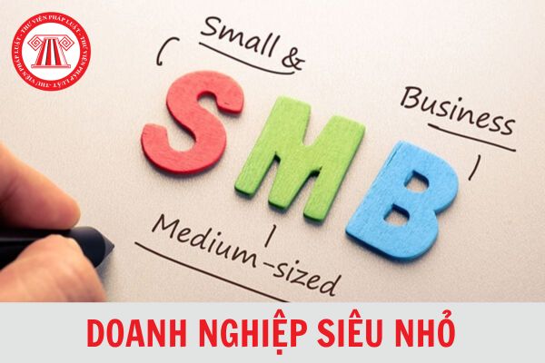 Cách lập Mẫu B02-DNSN báo cáo kết quả hoạt động kinh doanh của doanh nghiệp siêu nhỏ 2024?