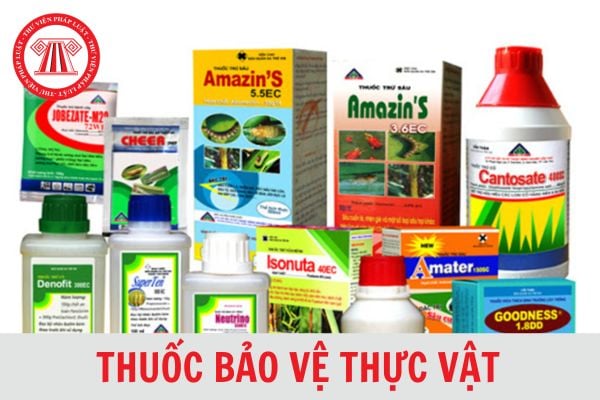 Bảng mã HS thuốc bảo vệ thực vật được phép sử dụng tại Việt Nam mới nhất 2024?