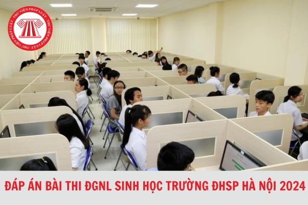 Đề thi và đáp án bài thi đánh giá năng lực Sinh học của Trường Đại học sư phạm Hà Nội 2024 mới nhất?