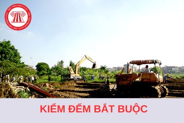 Tải Mẫu 01b quyết định cưỡng chế kiểm đếm bắt buộc mới nhất 2024?